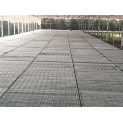 占兴筛网 深圳格栅板 304 格栅板